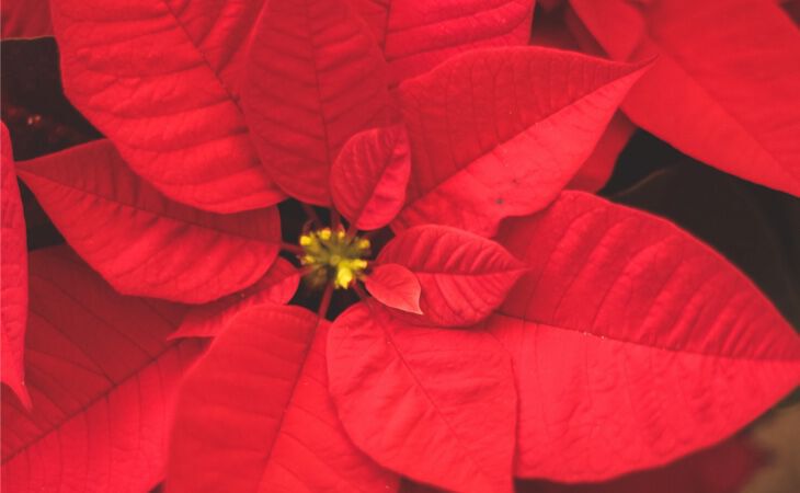 A moment of reflection: How to round off the year with gratitude